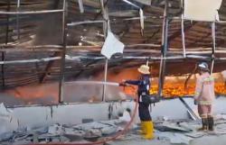 Peternakan di Tulungagung Ludes Terbakar, 63.000 Ekor Ayam Hangus Terpanggang<