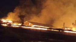 Kebakaran Hebat di Kawasan Industri Pasuruan, Api Berkobar di Pabrik Karton<