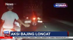 Viral Detik-Detik Aksi Bajing Loncat Mencuri Sawit dari Atas Truk yang Berjalan