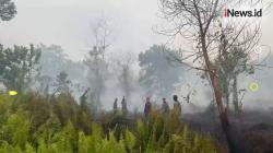 Karhutla di Kubu Raya Meluas, Pemadaman Terkendala Angin Kencang dan Sumber Air