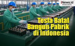 Infografis Tesla Batal Bangun Pabrik di Indonesia