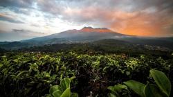 5 Desa di Karanganyar Sangat Menakjubkan, Suasananya Alami Bikin Kangen Kampung Halaman 
