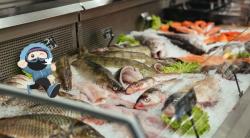 6 Tips Memulai Bisnis Frozen Food ala Ninja Xpress, Nomor 2 Tentukan Jenis Produk