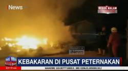 Sembilan Kandang Ternak di Rembang  Terbakar , Ratusan Hewan Mati