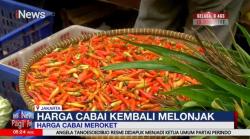 Harga Cabai Meroket Tajam, Pedagang Makanan Menjerit 