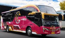 Hadapi Persaingan di Jalur Sulawesi, PO Aneka Transport Boyong 4 Bus Mewah