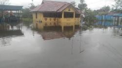 Dilanda Hujan Ekstrem, Distrik Dekai Yahukimo Terendam Banjir 1 Meter