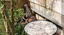 Geger! Kerangka Manusia Ditemukan dalam Pondok di Limapuluh Kota<