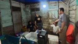 Polisi Gerebek Gudang Penampungan Benih Lobster di Pesisir Barat, 2 Orang Ditangkap