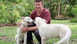 Ahli Buaya Inggris Perkosa Puluhan Anjing, Kini Dihukum 10 Tahun Penjara