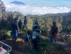 Bukit Kingkong Gunung Bromo Terbakar, Puluhan Personel Dikerahkan Padamkan Api<
