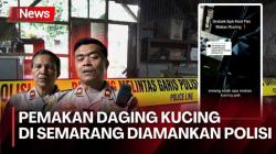 Viral Bapak Kos di Semarang Doyan Makan Daging Kucing, Berdalih untuk Pengobatan Diabetes