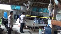 5 Fakta Bapak Kos Gemar Makan Kucing di Semarang, Nomor 3 Dimasak di Magic Com