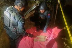 Heboh 4 Bom Aktif Peninggalan Perang Ditemukan di Kantor Kecamatan Puspo Pasuruan<