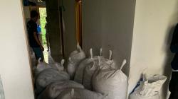 Polisi Bongkar Perdagangan Sisik Trenggiling Hampir 1 Ton di Tanjungbalai, 2 Orang Ditangkap<