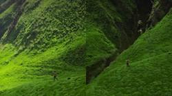 Viral Pesona Savana Bromo Kembali Hijau, Indahnya Gak Ada Lawan!