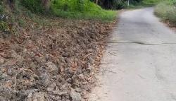 Viral, Pemotor Ini Nyaris Tabrak King Cobra 3 Meter yang Seberangi Jalan