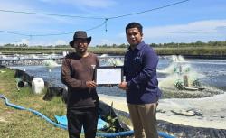 Lewat Listrik Hijau PLN, Petani Tambak Udang di Sulsel Hemat Biaya Operasional