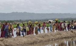 Puluhan Muslim Rohingya Tewas Ditembaki Drone saat Akan Menyeberang ke Bangladesh