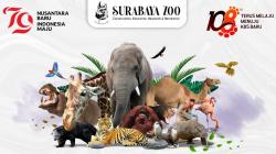 Harga Tiket Masuk Kebun Binatang Surabaya 2024, Tips dan Cara Pembelian<