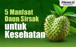 Infografis Daftar 5 Manfaat Daun Sirsak untuk Kesehatan