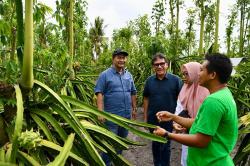 Dorong UMKM Banyuwangi Terus Berinovasi