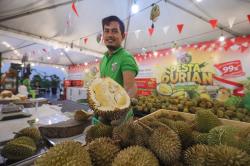 Bayar Segini Makan Durian Sepuasnya