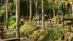 6 Tempat Nongkrong Mojokerto, Nomor 5 Nuansa Alam Kesejukan di Tengah Hutan<