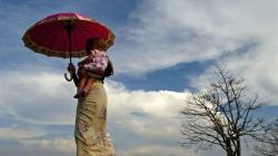 BMKG Ingatkan Bahaya Perubahan Iklim, Gen Z dan Alpha Paling Terdampak