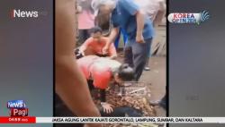  Atlet Paramotor PON Mendarat Darurat di Rumah Warga 