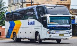 Asyik! Damri Buka Rute Bandung-Yogyakarta PP Februari Ini, Berapa Harga Tiketnya?