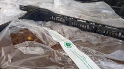 Terpapar Bakteri, 1,5 Ton Bibit Tanaman Hias Lilium dari Belanda Dimusnahkan<