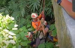 Tragis! Suami Istri di Gianyar Jatuh ke Jurang 30 Meter Belakang Rumah<