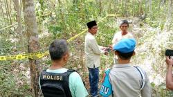 Ngeri! Ibu Hamil di Musi Rawas Tewas Terinjak-injak Gerombolan Gajah Liar<