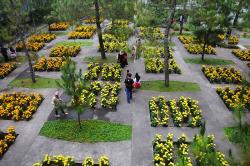  Aroma Wangi Rumah Atsiri di Kaki Gunung Lawu