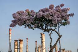 Kilang Cilacap Dukung Ketahanan Energi Nasional Berkelanjutan