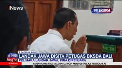 Pria di Badung Dipenjara Gegara Pelihara Landak Jawa