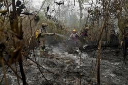 BNPB Wanti-Wanti Potensi Karhutla Besar pada 2027