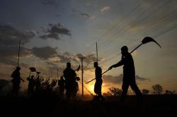 Kebakaran Hutan Taman Nasional Brasilia Ulah Manusia