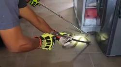Ular King Cobra Duel dengan Piton hingga Jatuh dari Plafon Rumah Warga di Palangka Raya<