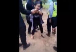 Viral Gadis di Luwu Histeris Pohon Cengkeh Ditebangi Karyawan Tambang Emas<