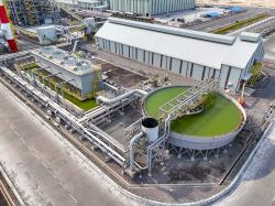 Investasi Hilirisasi Sentuh Rp407,8 Triliun di 2024, Didominasi Smelter Mineral