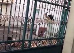 Viral Gadis di Makassar Aniaya Ibu Kandung Pakai Parang hingga Kritis<