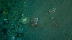 PNM Kelola Ekosistem Terumbu Karang di Banyuwangi untuk Tingkatkan Ekonomi Masyarakat Pesisir