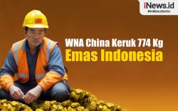 Infografis WNA China Keruk 774 Kg Emas dari Tambang Ilegal di Kalbar