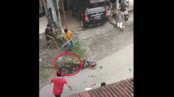 Ngeri! Video Viral Warga Padang Pariaman Diseruduk Babi Hutan hingga Tangan-Jari Patah<