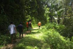 Lansia Hilang Misterius saat Melintas di Hutan Bambu Toraja, SAR Turun Tangan<