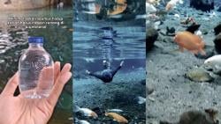 10 Tempat Wisata di Klaten: Sensasi Air Segar di Umbul Sigedang yang Bikin Takjub<