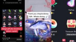 Harga Gift Cantik Deh di TikTok Berapa Rupiah? Dibeli 1 Koin, Ini Nilai Rupiahnya!