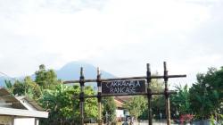 Desa Wisata Mina Padi Sukajadi Bogor, Potensi Pertanian dan Perikanan Destinasi Agroeduwisata<